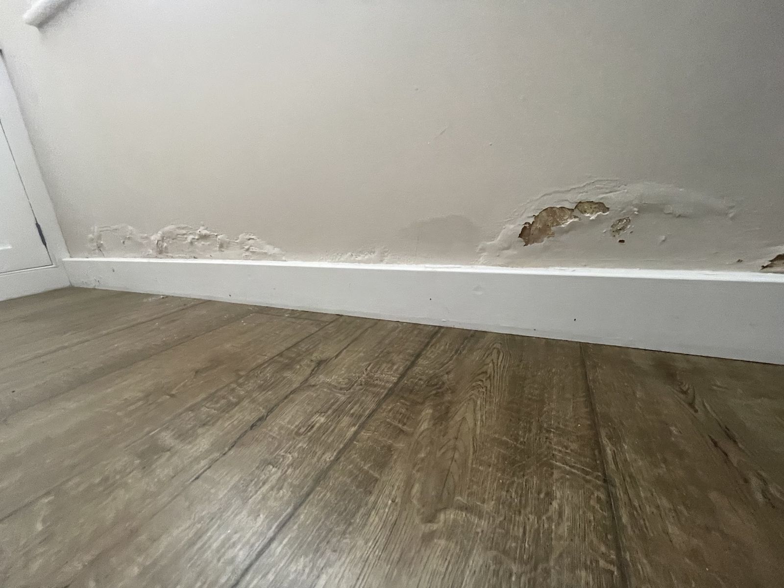 Damp staining and flaking paint along the bottom of a wall